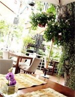 Фото Nautical Inn