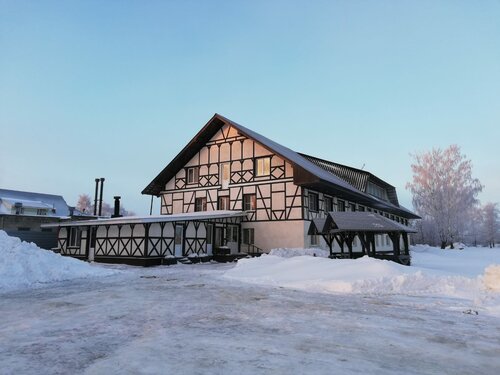 Берёзка фото 1
