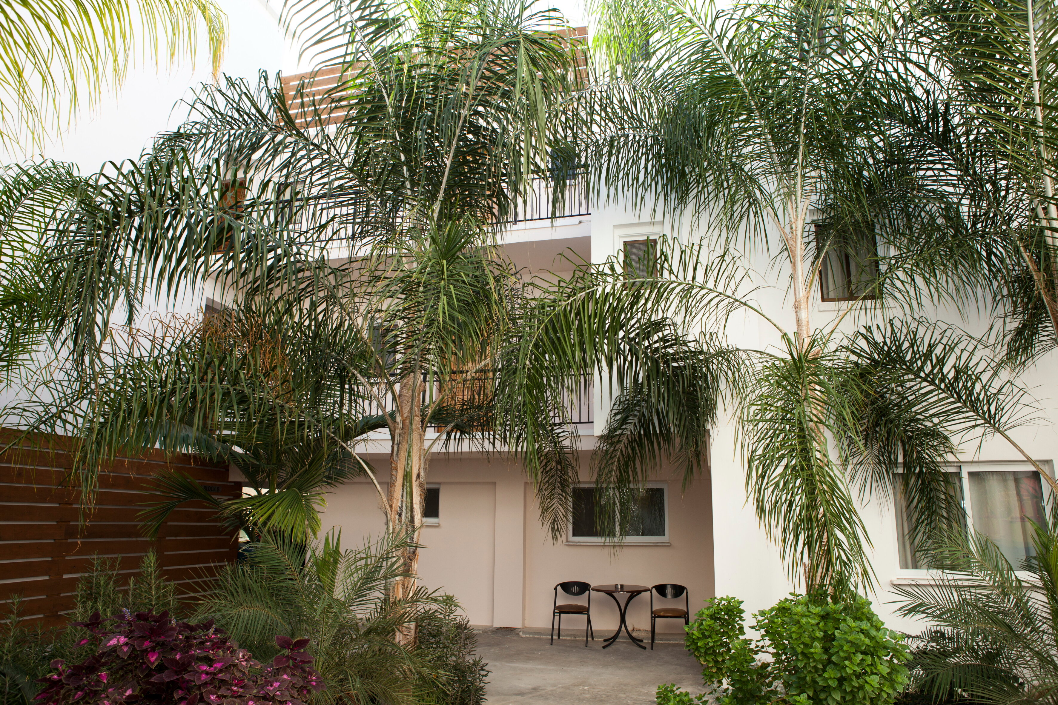 Фото Alecos Hotel Apartments