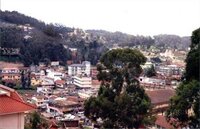 Фото Hotel Silver Oak