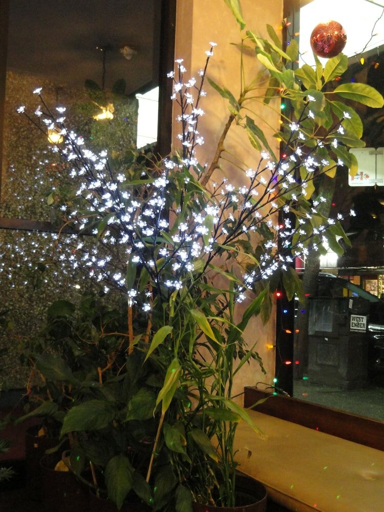 Фото English Bay Hotel