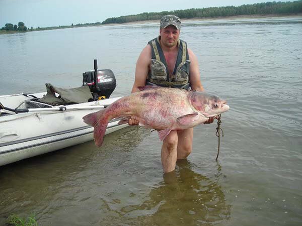 Фото На крючке