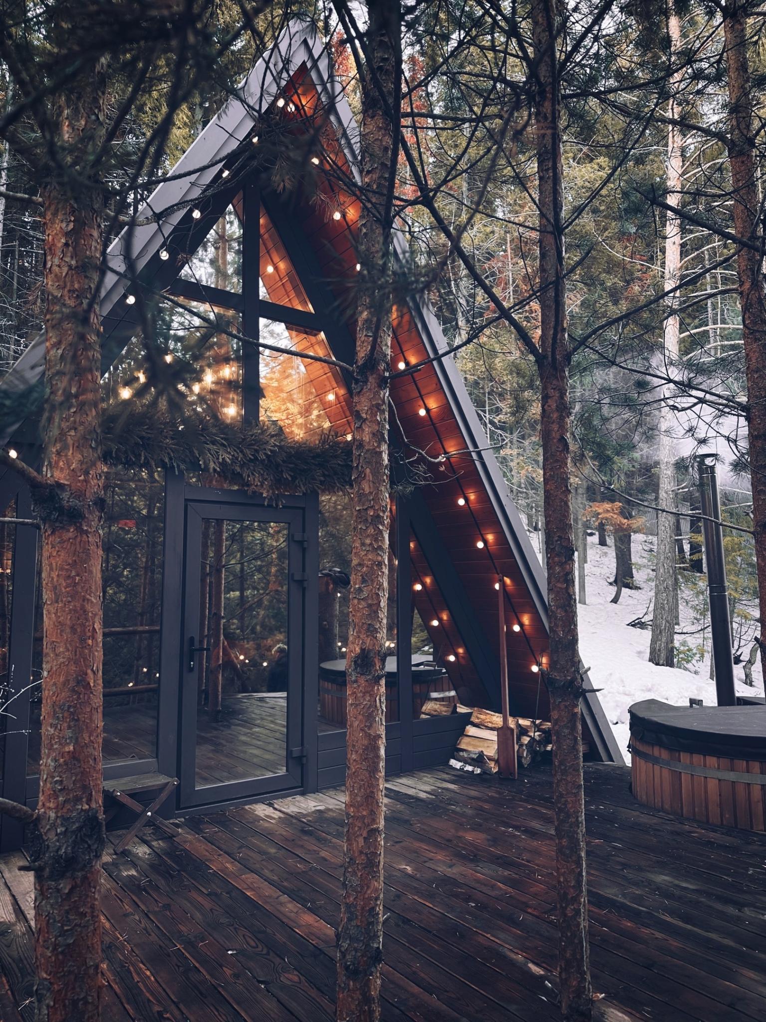 Фото Хвойная Хижина