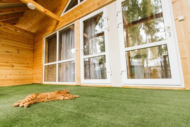 Фото Усадьба Добрыня