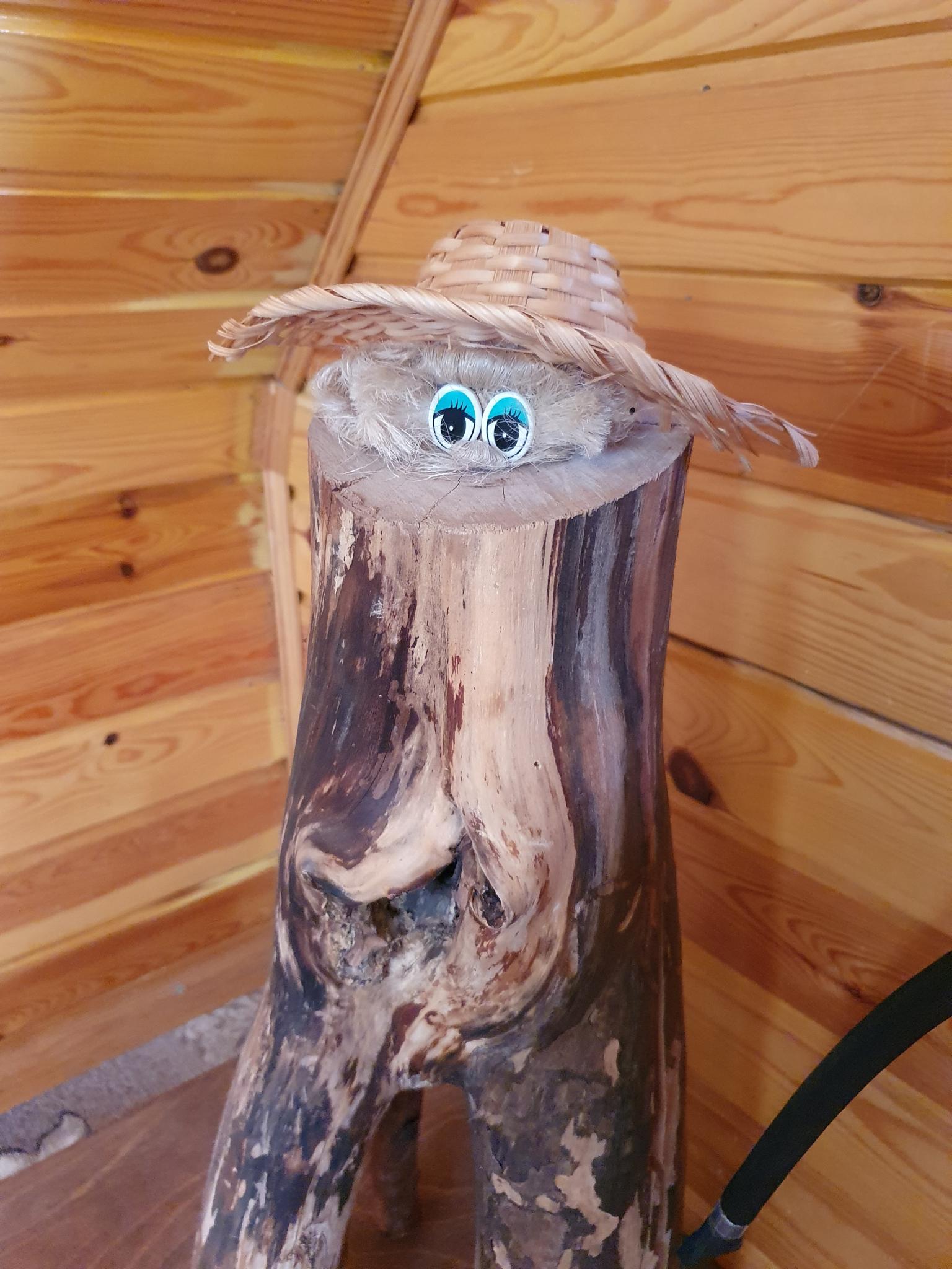 Фото Тарховка