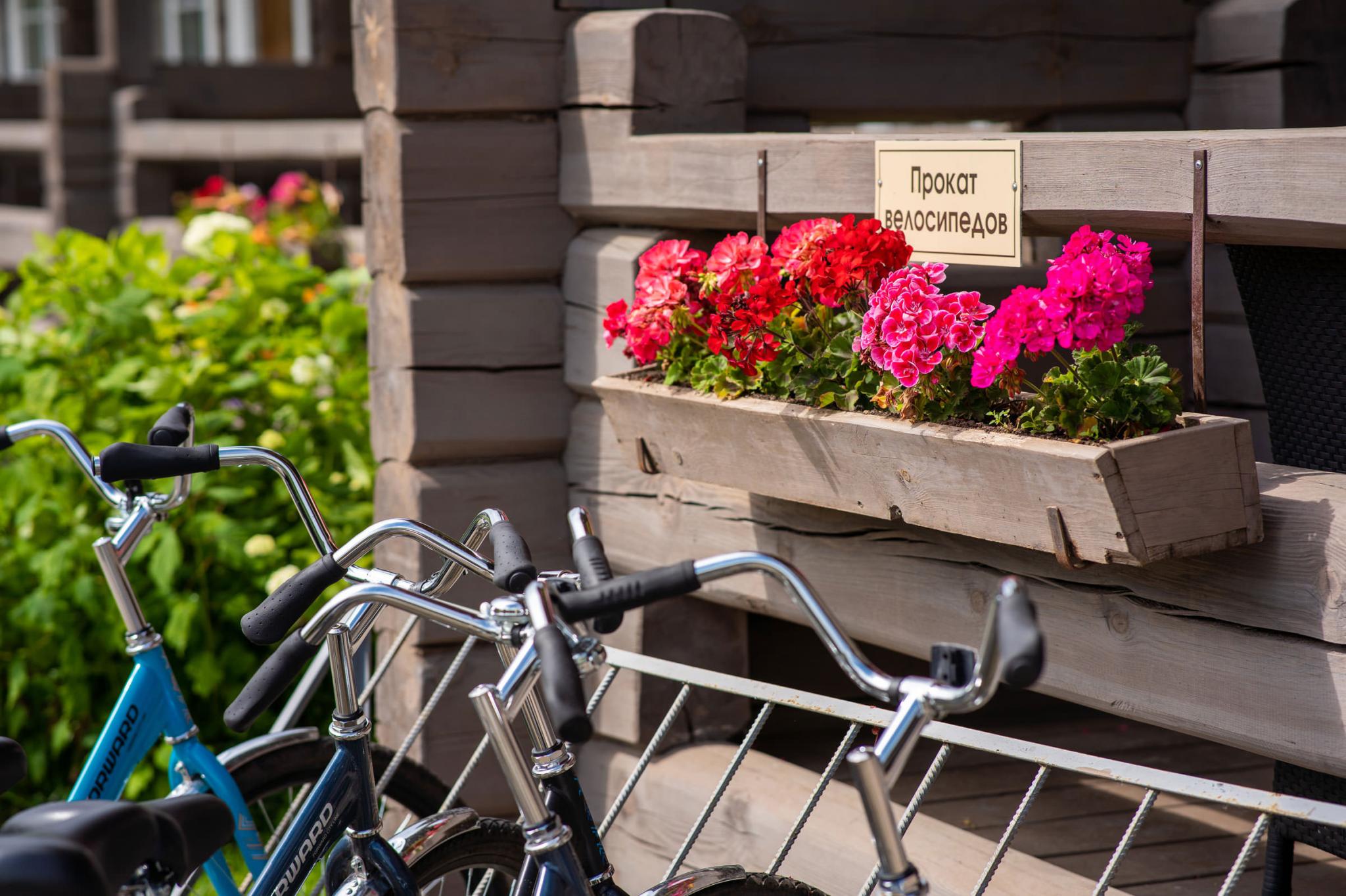 Фото Арина Р