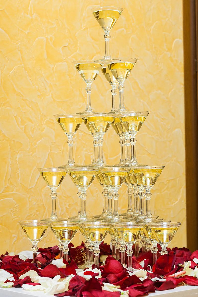 Фото Метелица