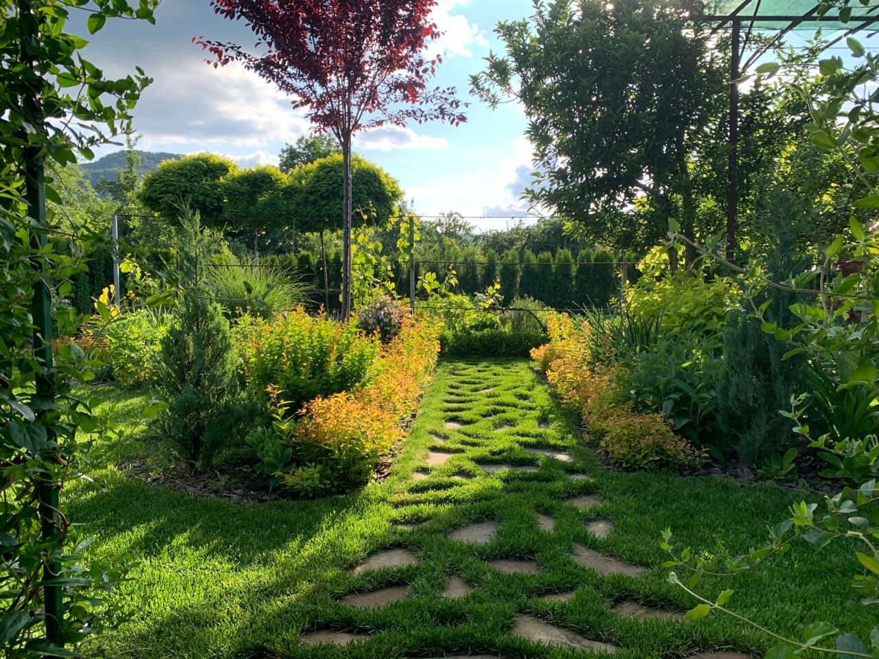 Фото Дача на юге