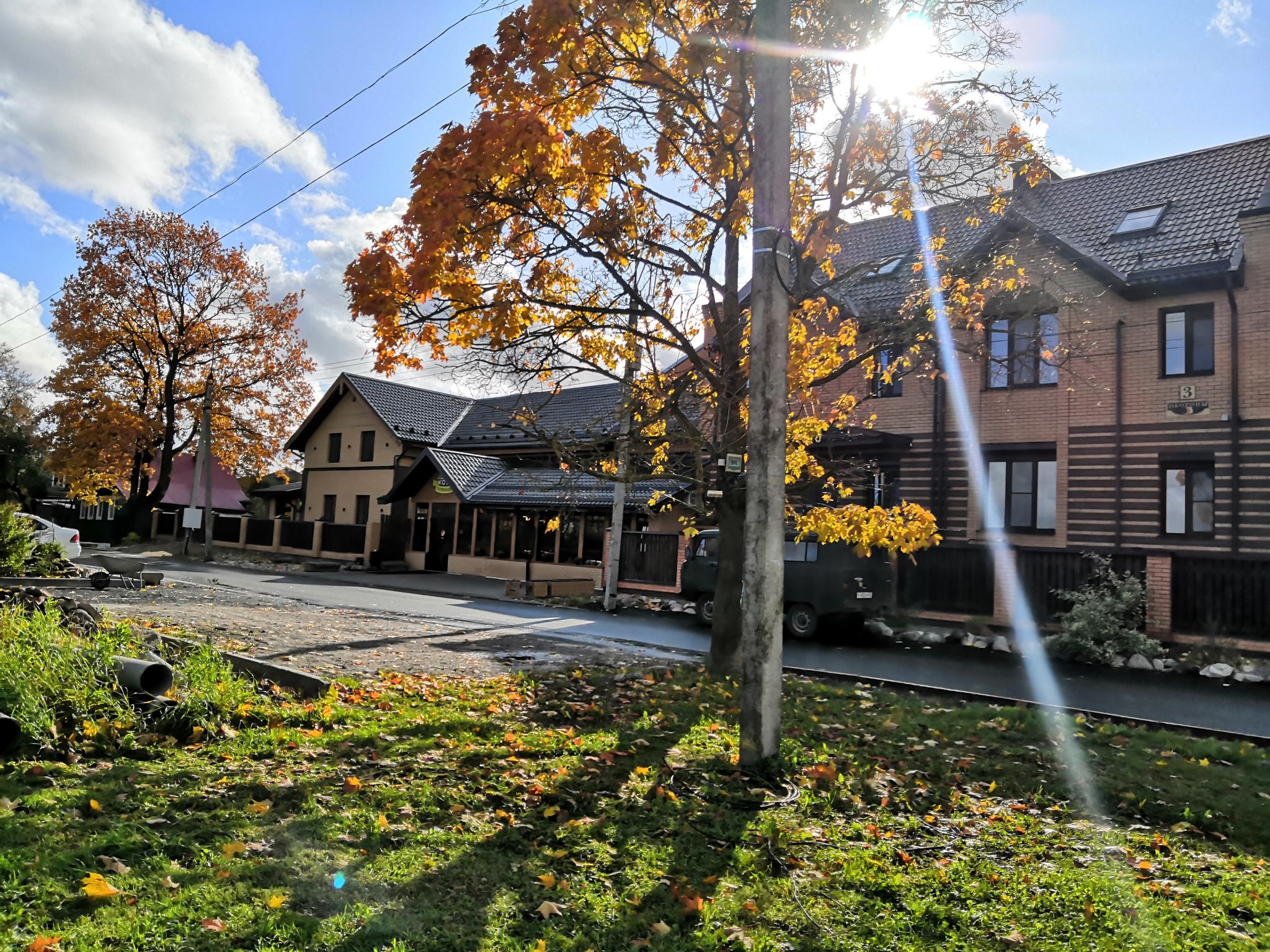 Фото Три кота