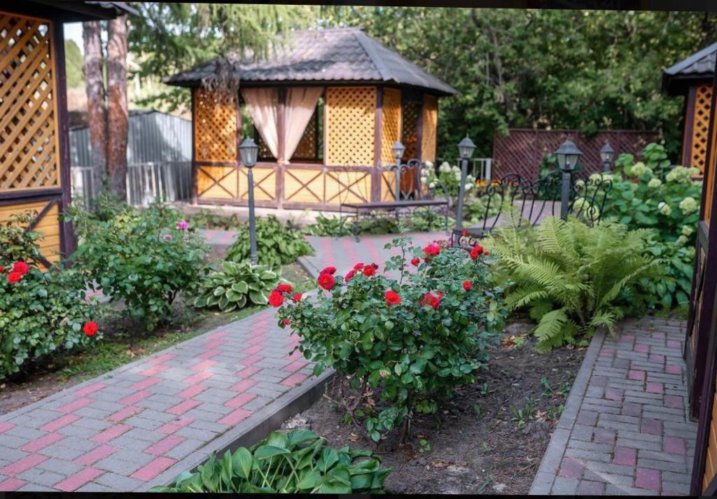 Фото Разгуляй