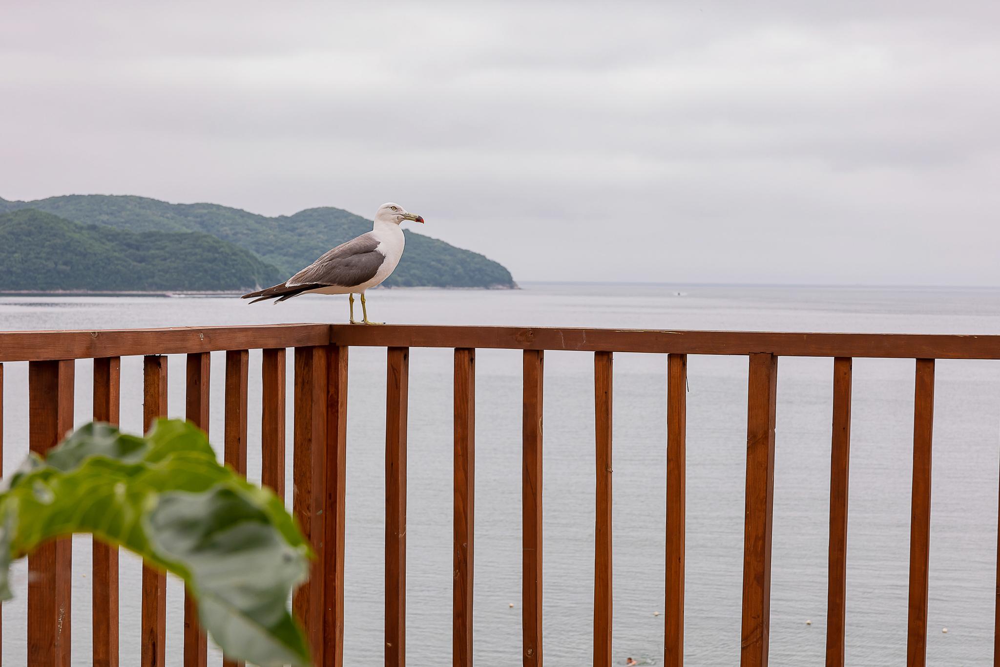 Фото Море и песок