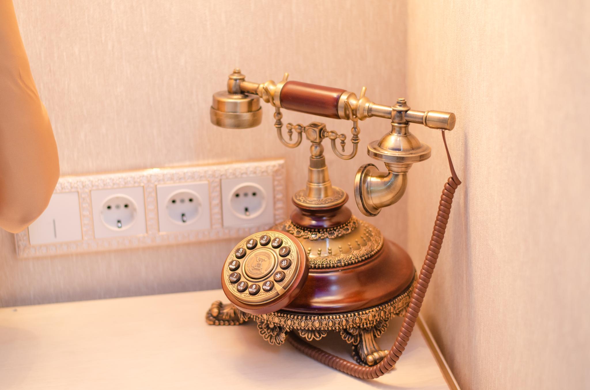 Фото Монарх