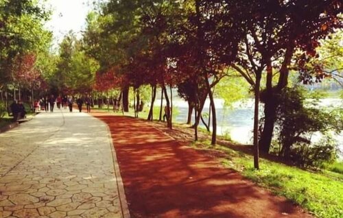 Tirana Square Hotel