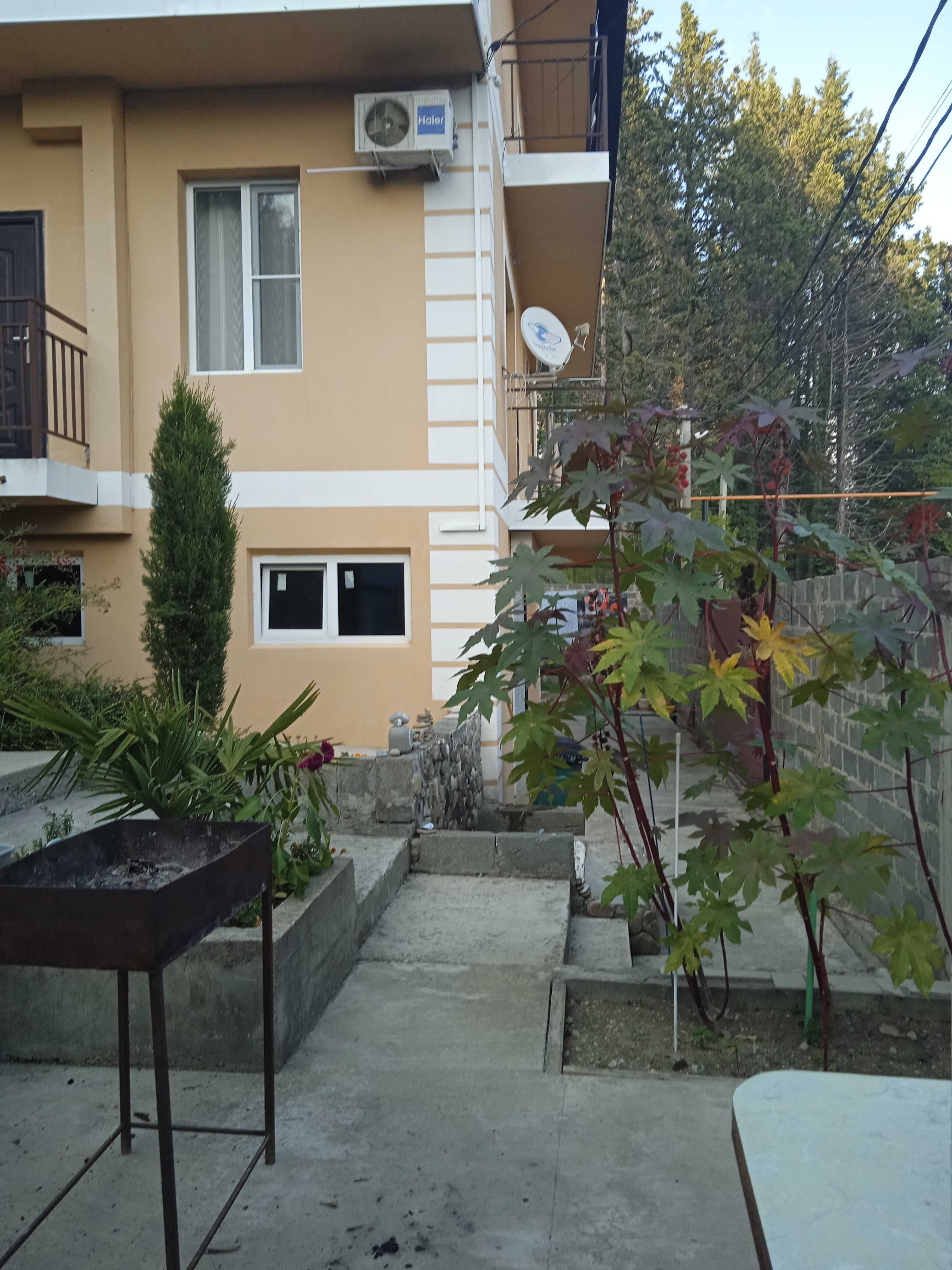 Фото Томичка