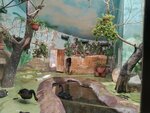 Birds and butterflies (Moscow, Bolshaya Gruzinskaya Street, 8с26А), animal cage