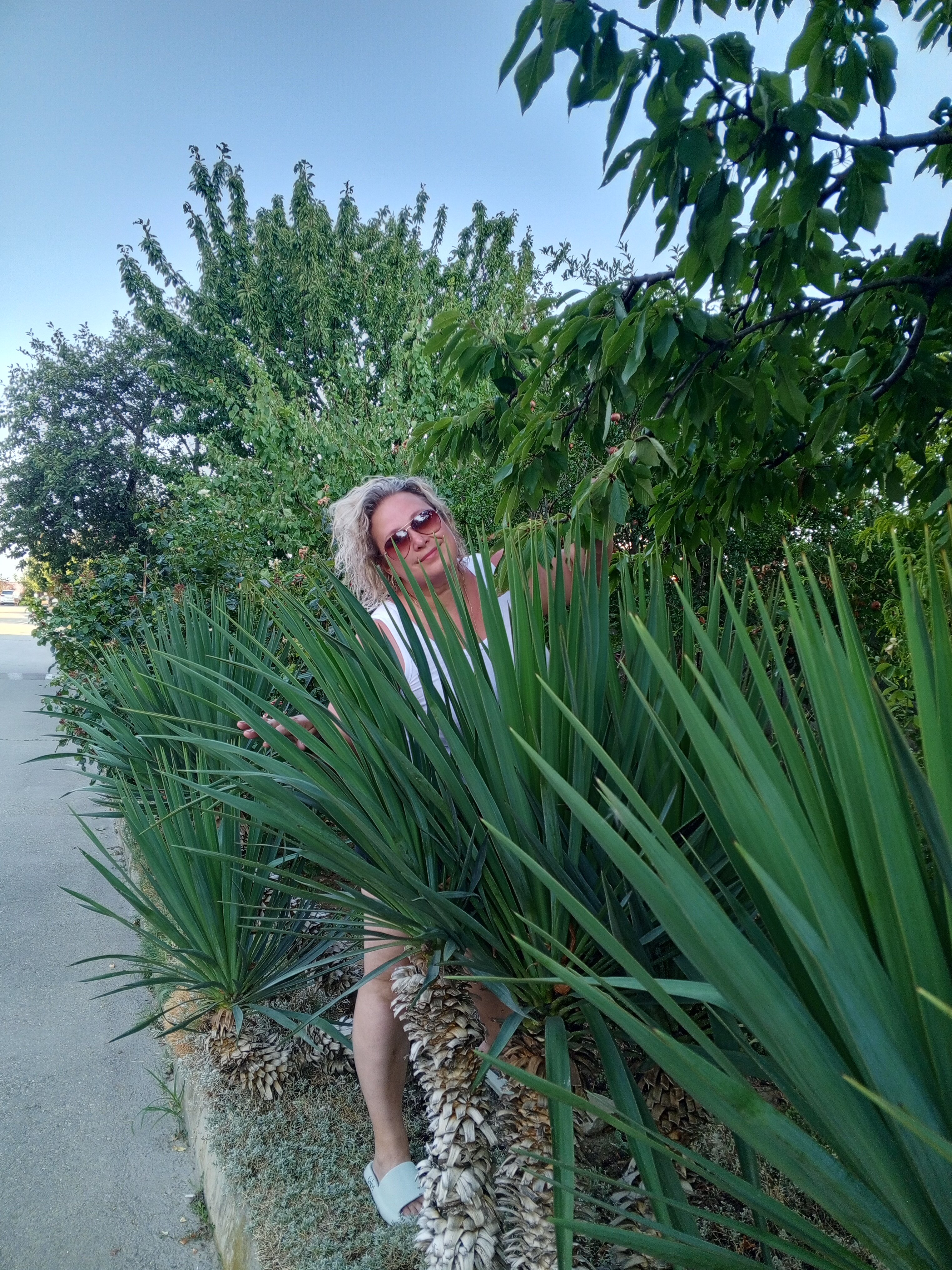 Фото Сиеста