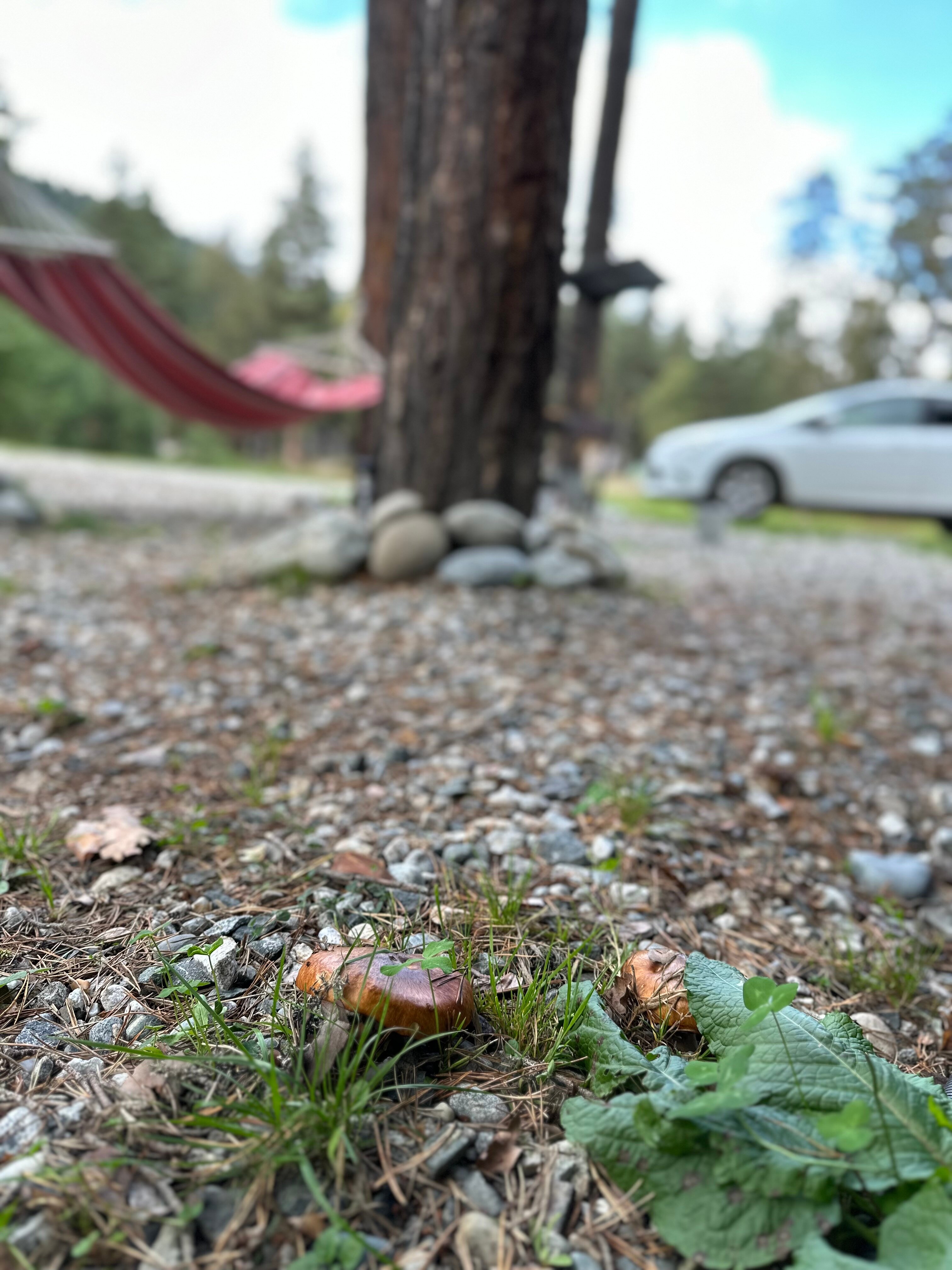 Фото Таулу Архыз