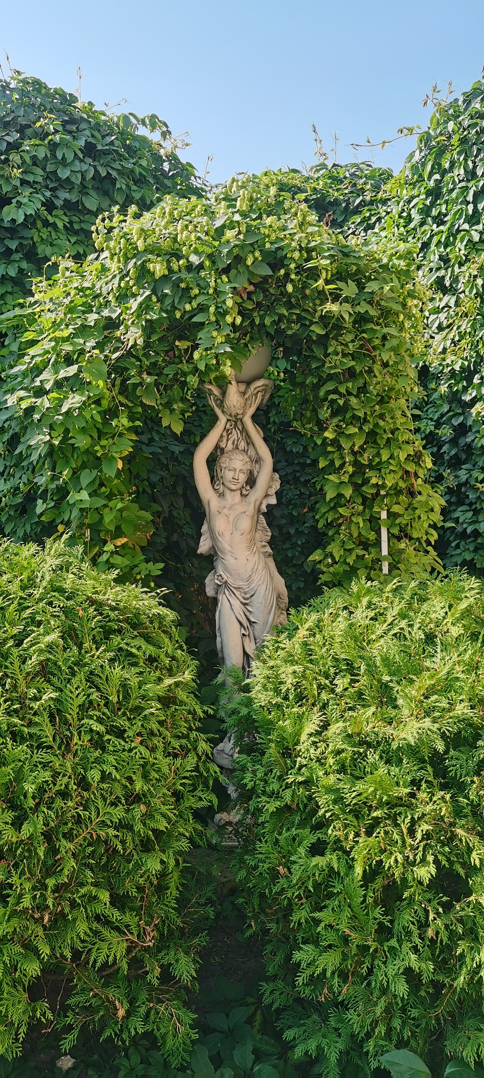 Фото Замковый