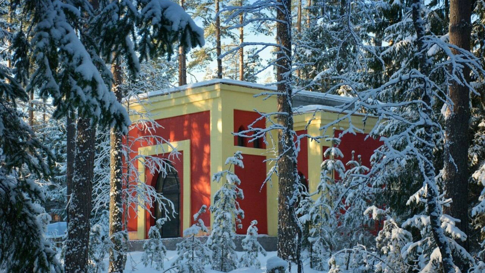 Фото Шишки на Лампушке