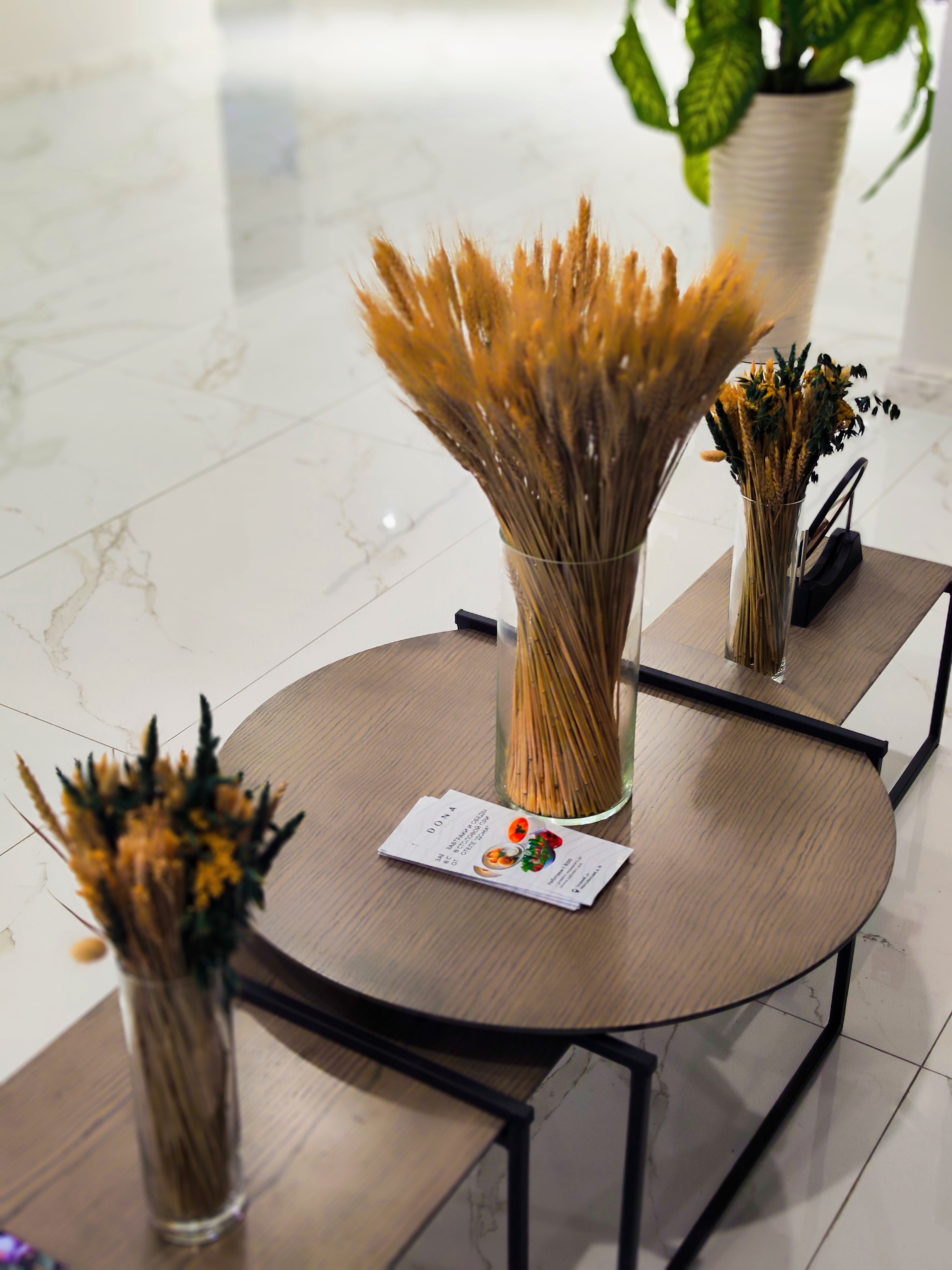 Фото Дона Малгобекская