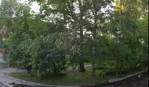 «СГ Транс Ангарск» ААҚ