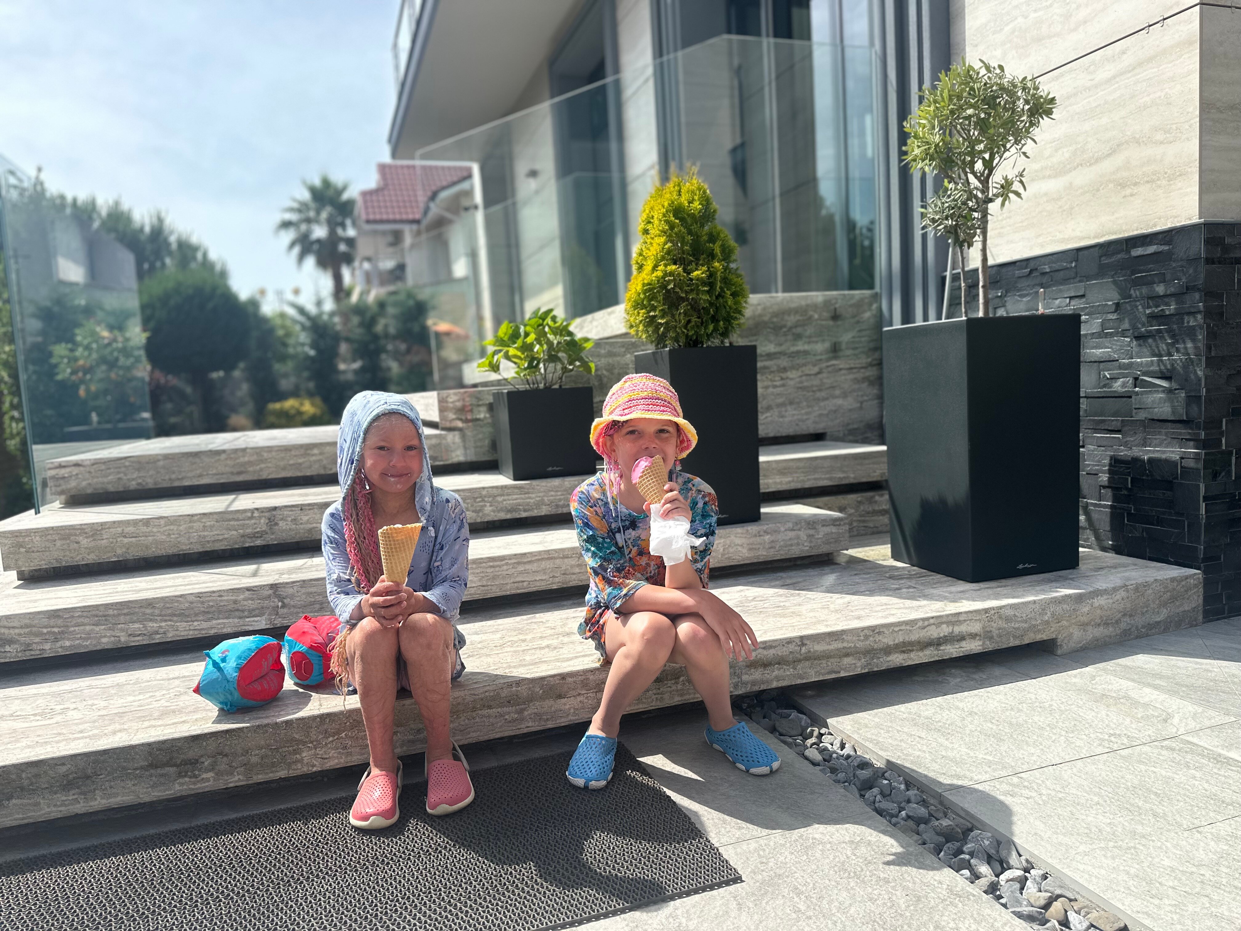 Фото Две оливы