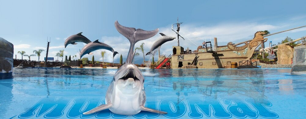 Фото Pierre & Vacances Benidorm Horizon