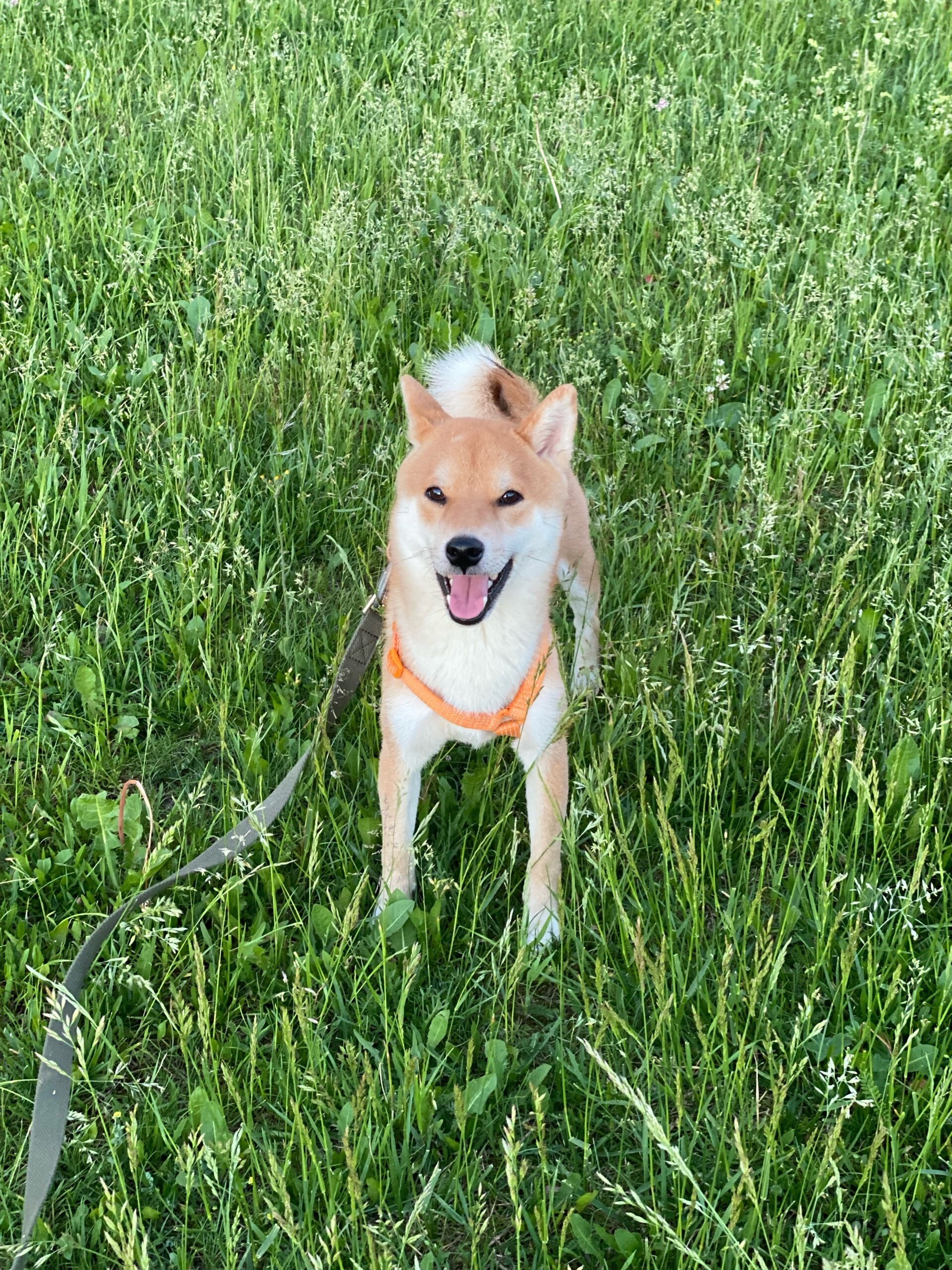 Фото Лунинские Просторы