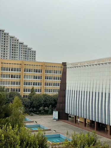 Juni bilan qoplangan mushukni yalang