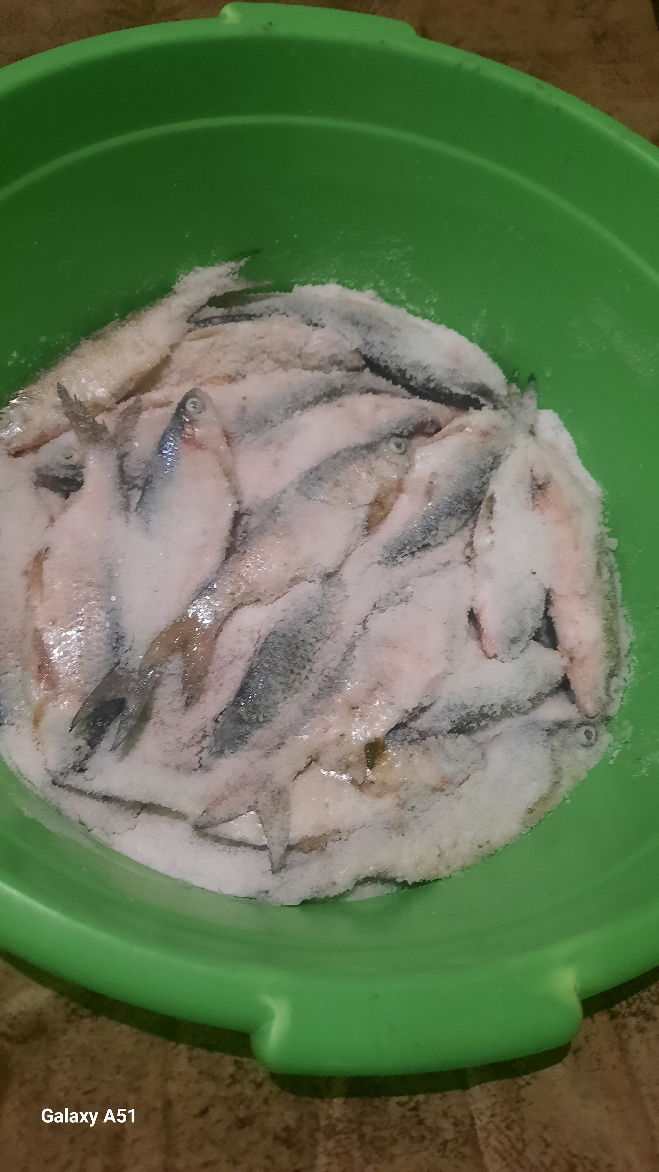 Фото Загородный парк Баклушино