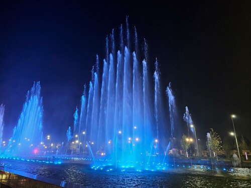 Rossiyalik porno aktrisa yol-transport hodisasi uchun pul toladi.