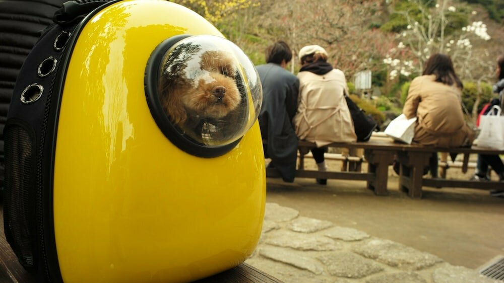 Фото Toyoko Inn Osaka Kyobashi Sakuranomiya