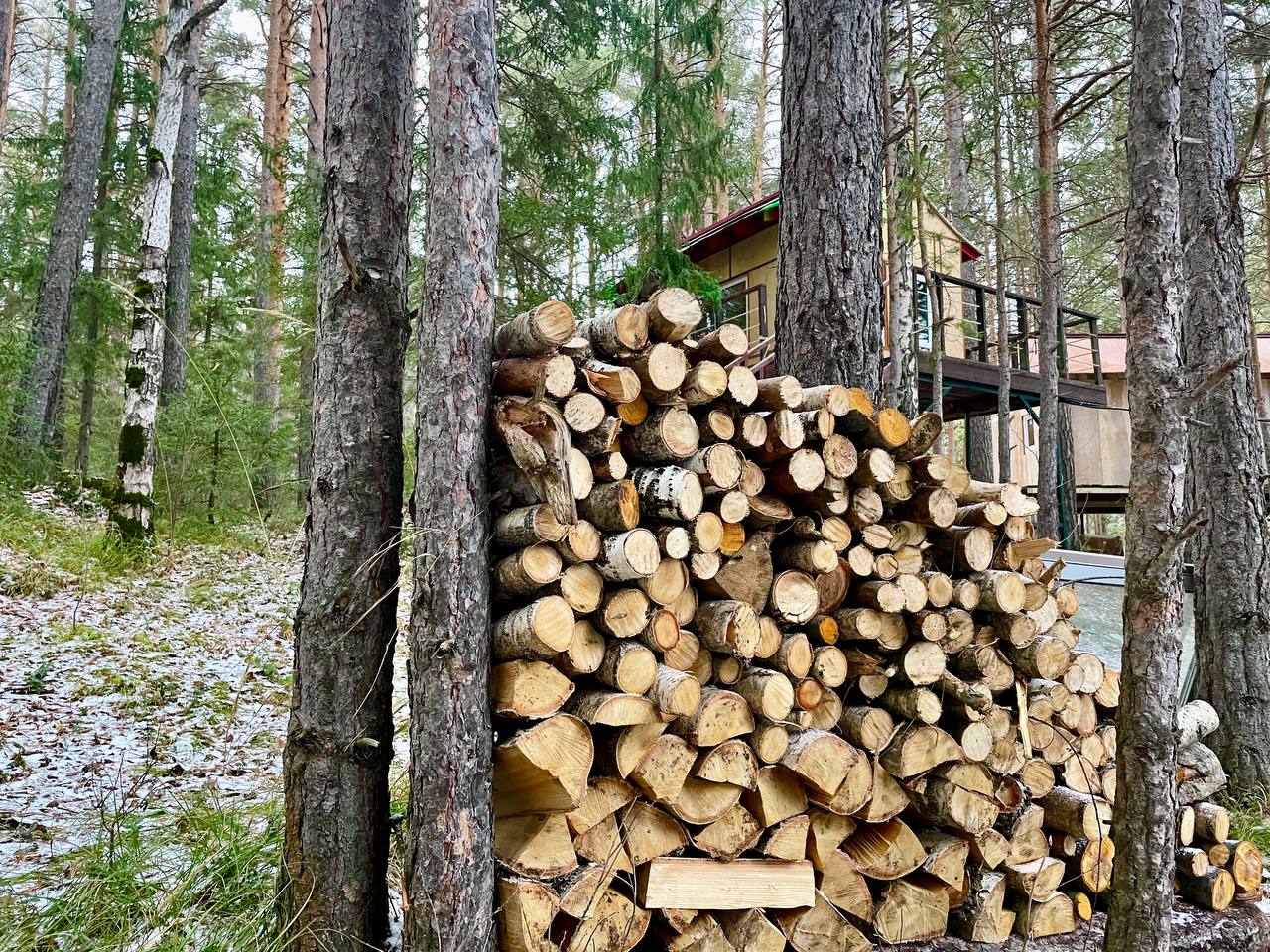 Фото Изумрудный город