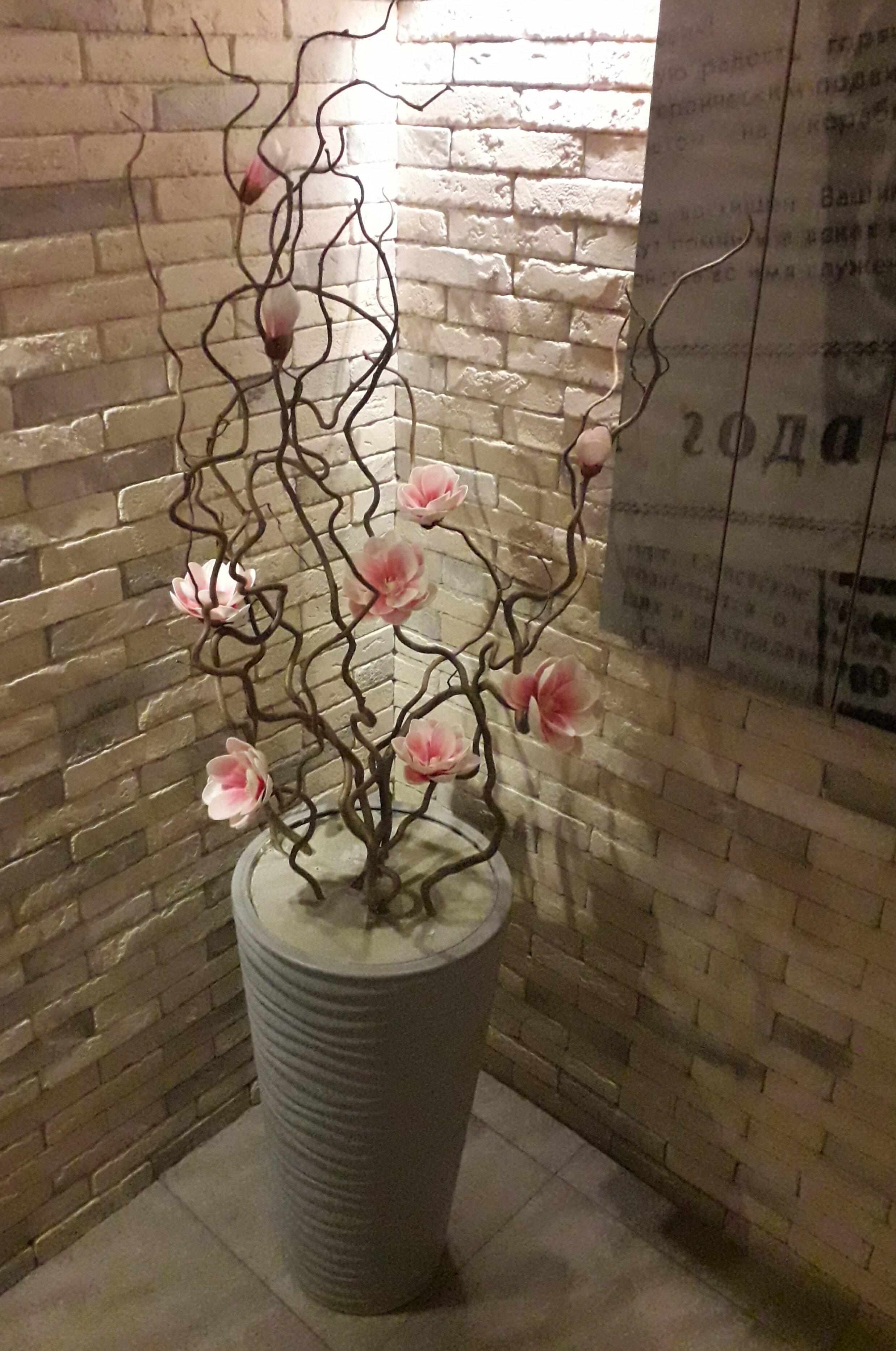 Фото Ester House