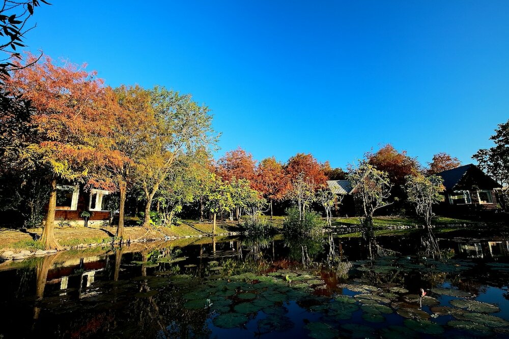 Фото Green Forest Villa