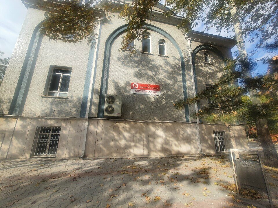 Mosque Azim Kaya Mosque, Konya, photo