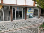 Asil (İstanbul, Beylikdüzü, Dereağzı Mah., Girne Cad., 38), construction company