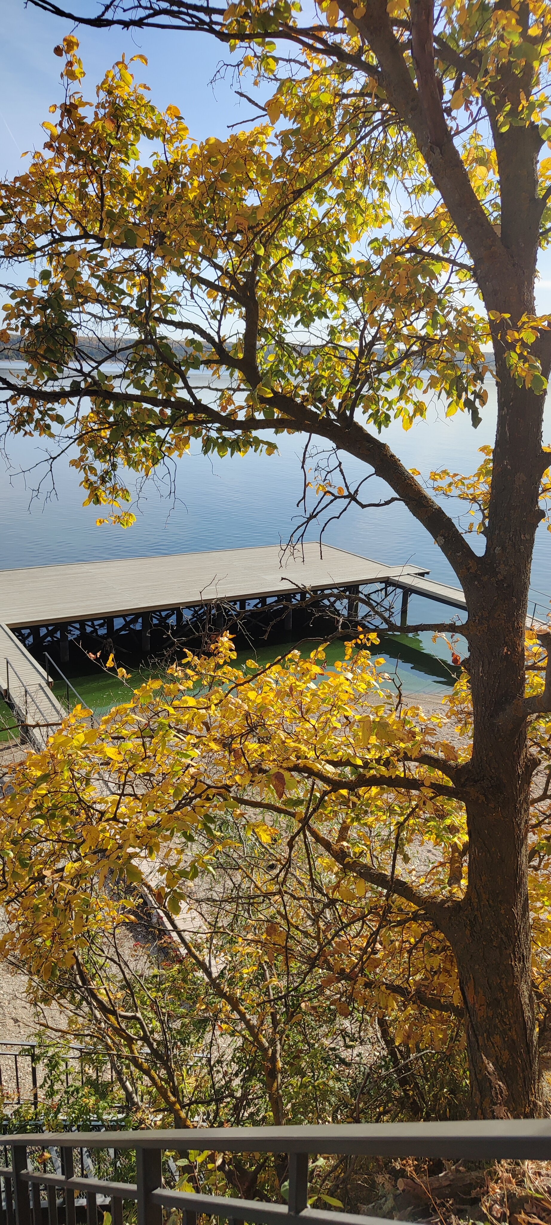 Фото Pioneer Resort Hotel