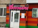 Pet shop (Sestroretskaya ulitsa, 17), pet shop