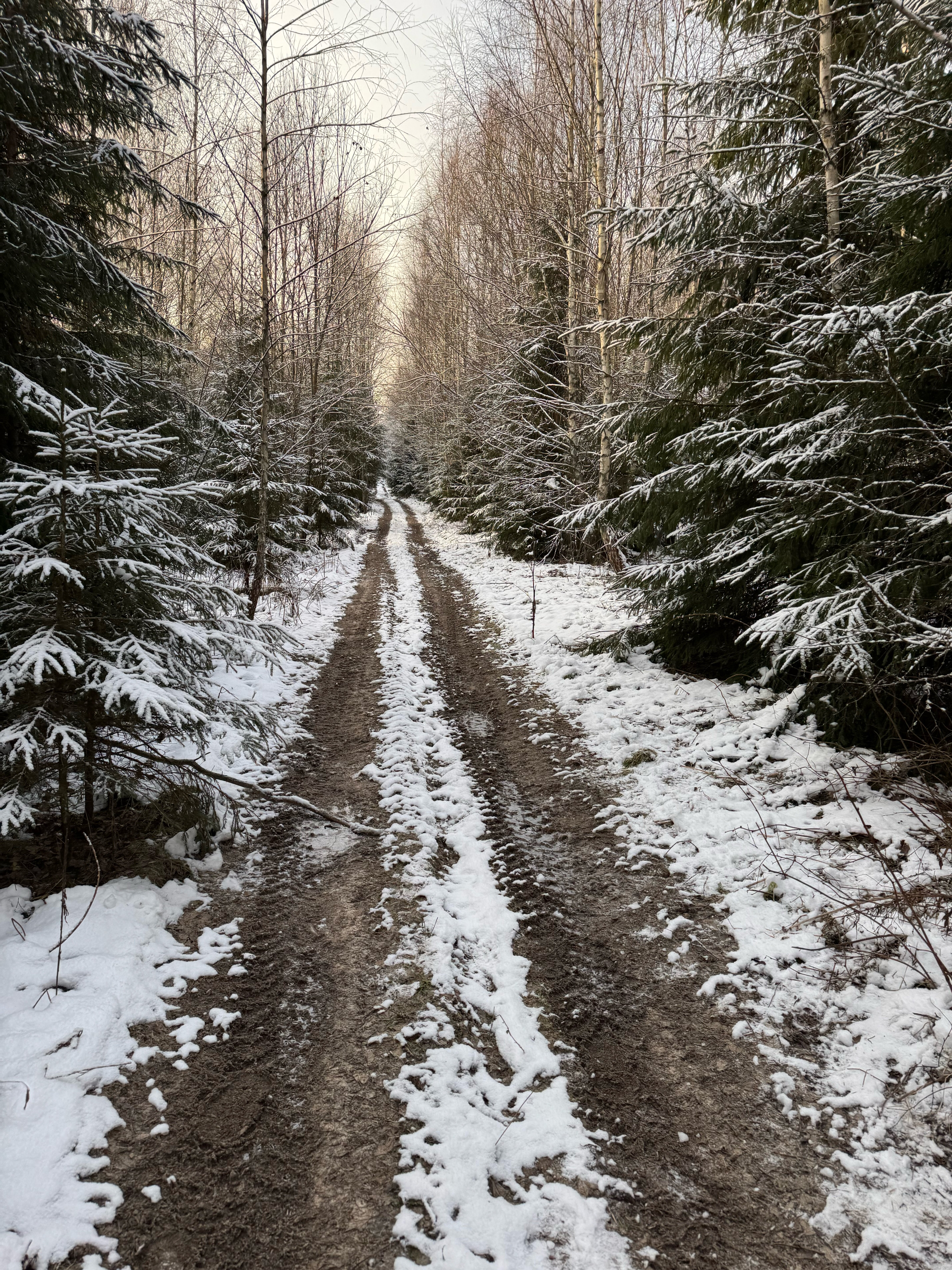 Фото Вудхаус
