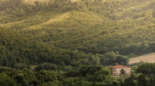 Апартаменты Agriturismo Pomonte
