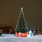 Городская ёлка (Moscow Region, Domodedovo, 30 Let Pobedy Square), city tree