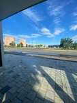 Проспект Химиков, 2 (Republic of Tatarstan, Nizhnekamsk, Khimikov Avenue), public transport stop