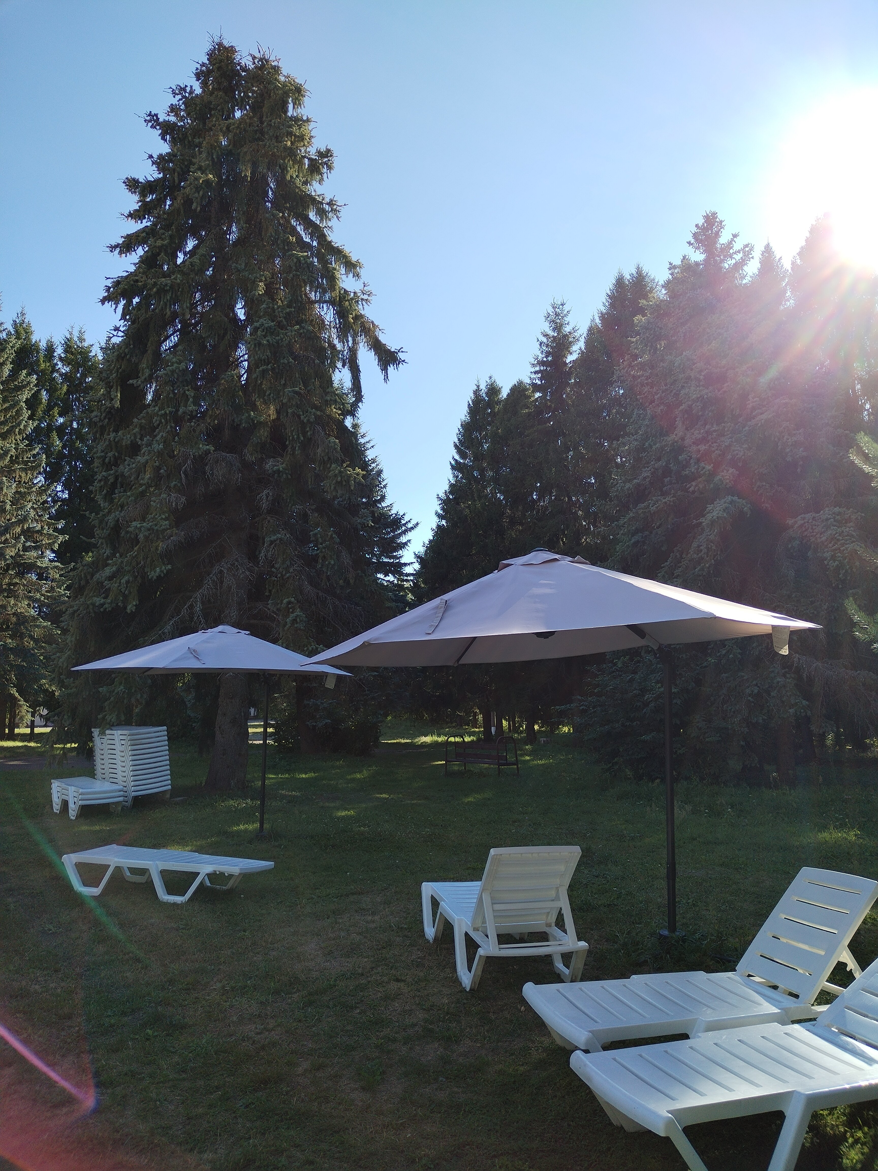 Фото Буревестник