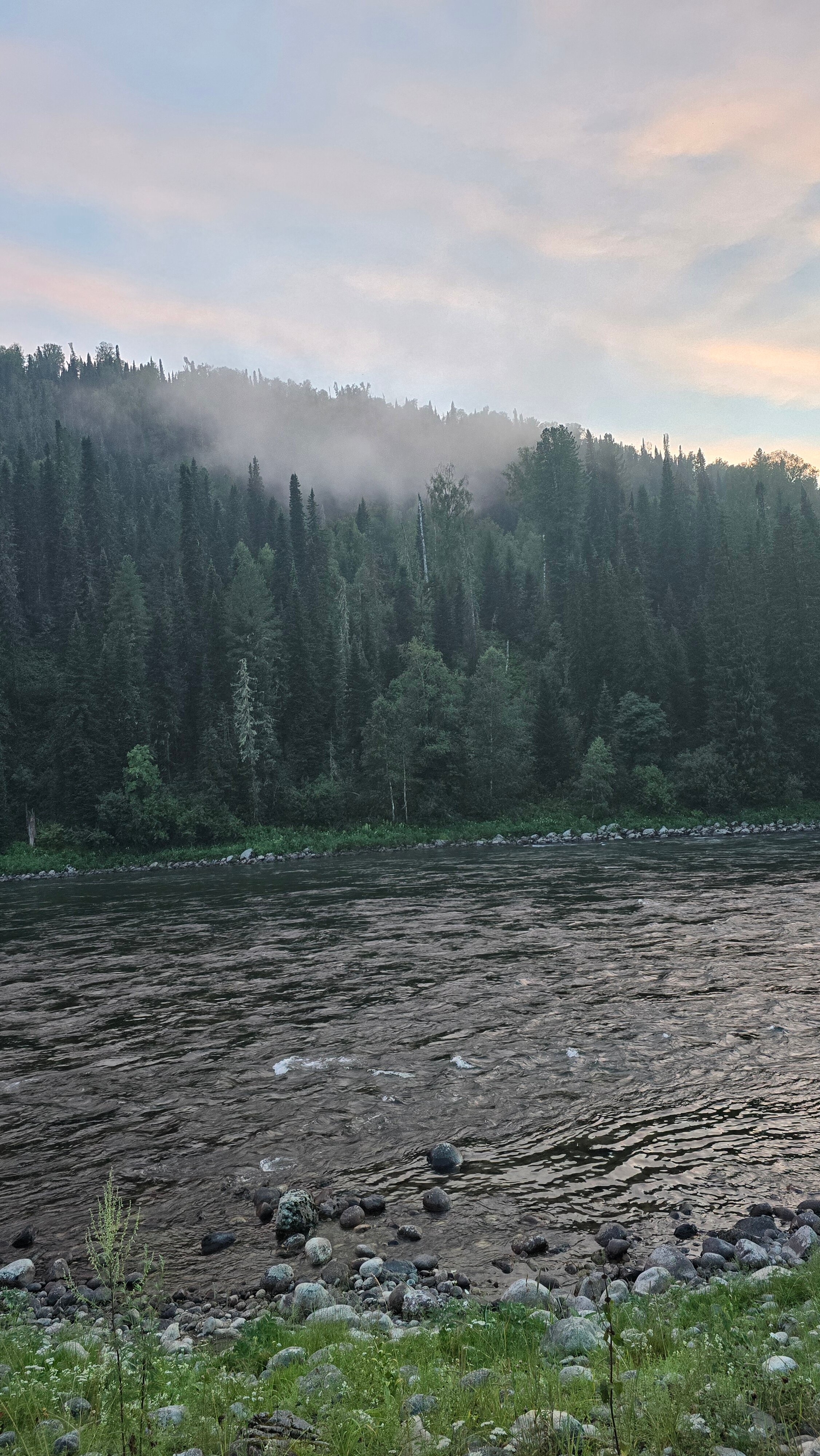 Фото Бия Браво