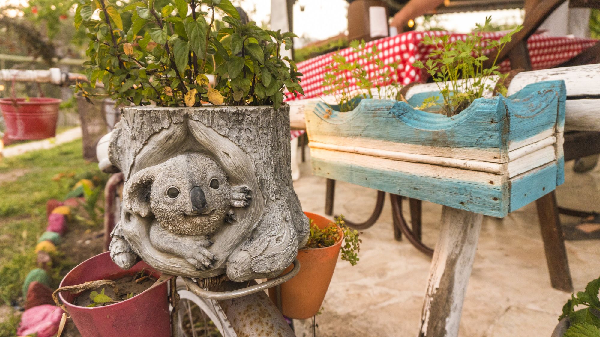 Фото Koala Bungalows
