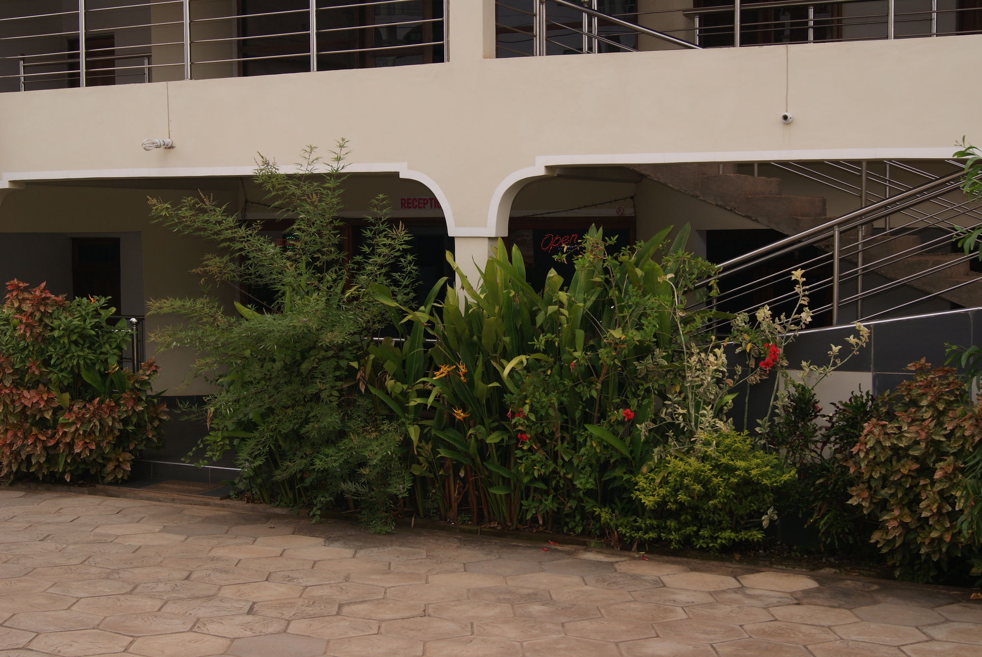 Фото The Golden Apple