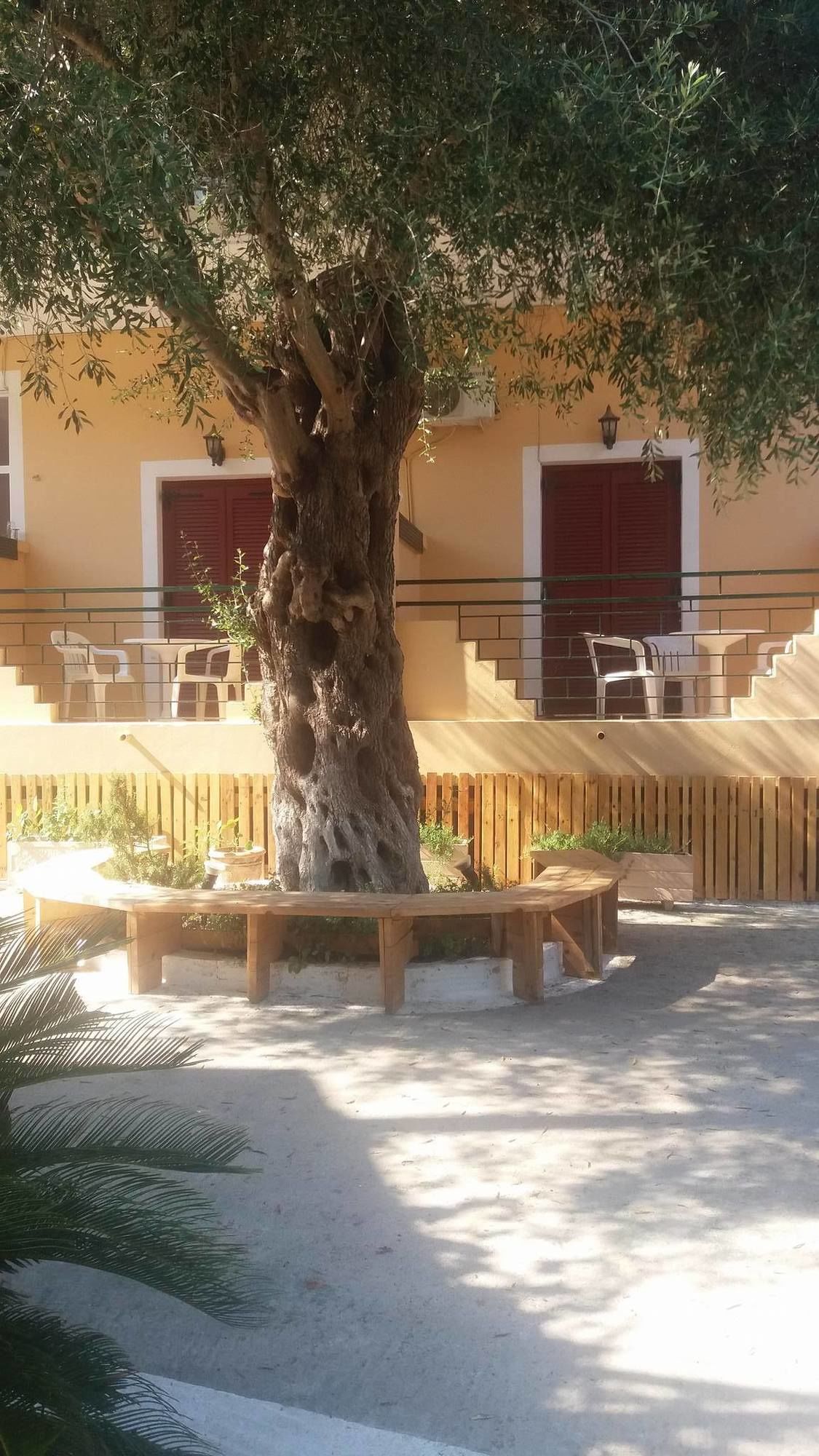 Фото Wilde Rose Hotel