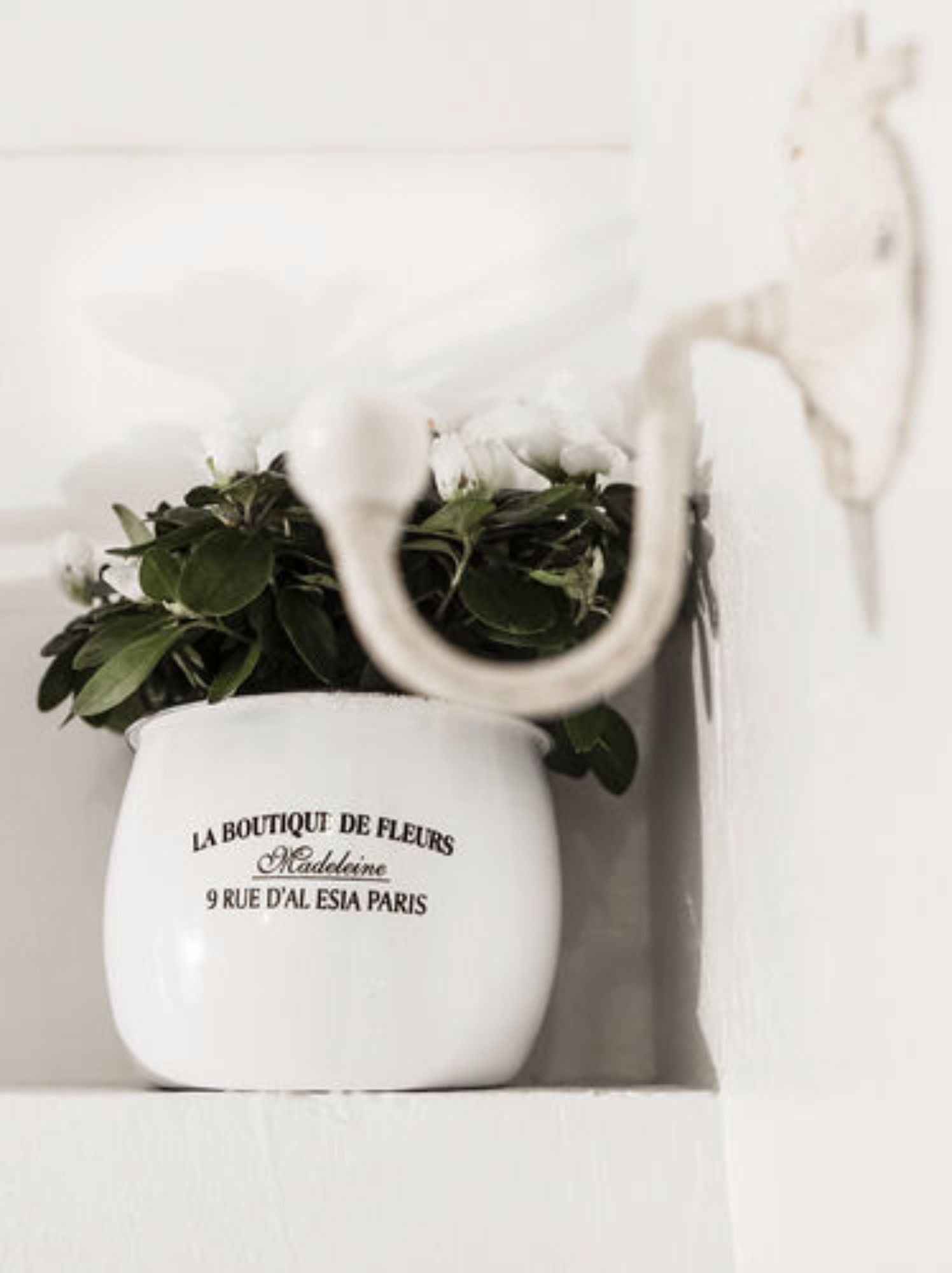 Фото Hotel Cervetta 5