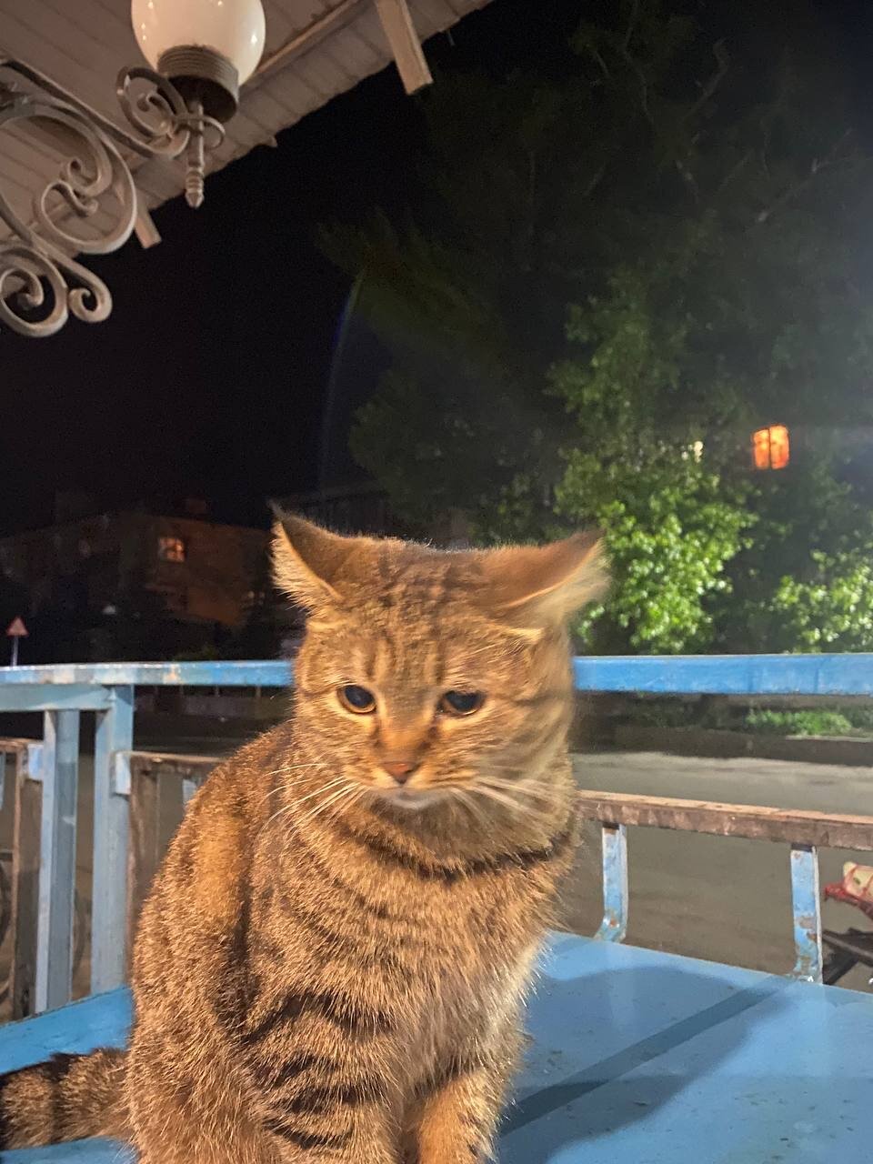 Фото Екатерина